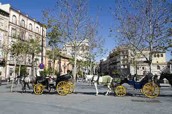 Sevilla 201 - Puerta de Jerez.jpg